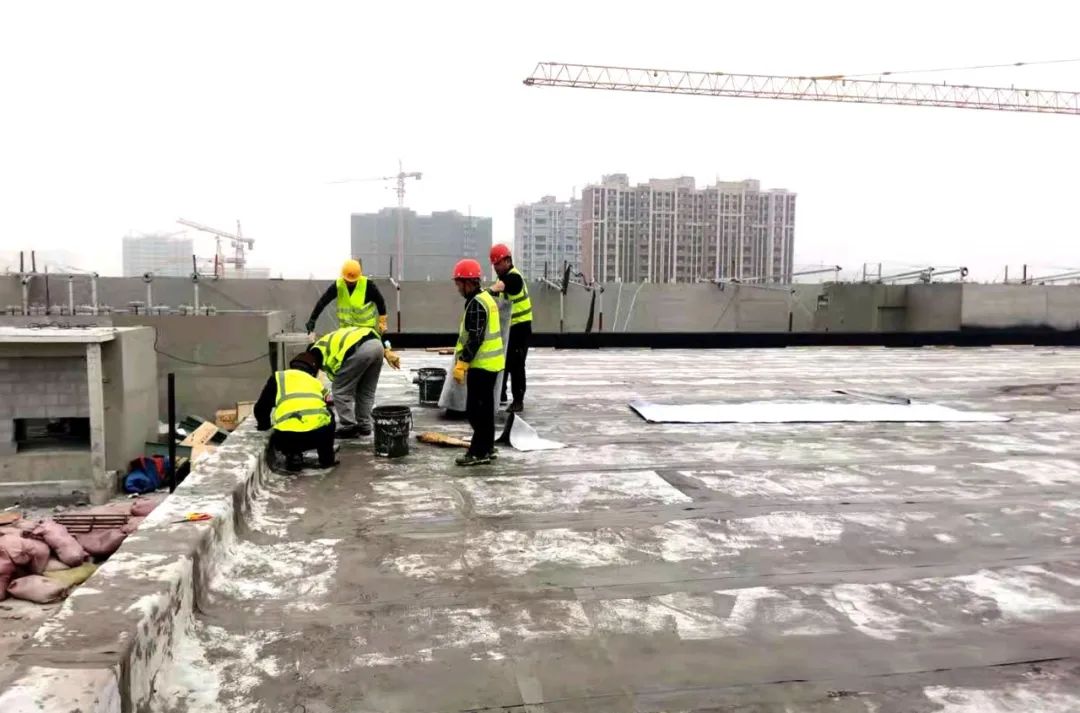 16956969064297514 16956969064297514