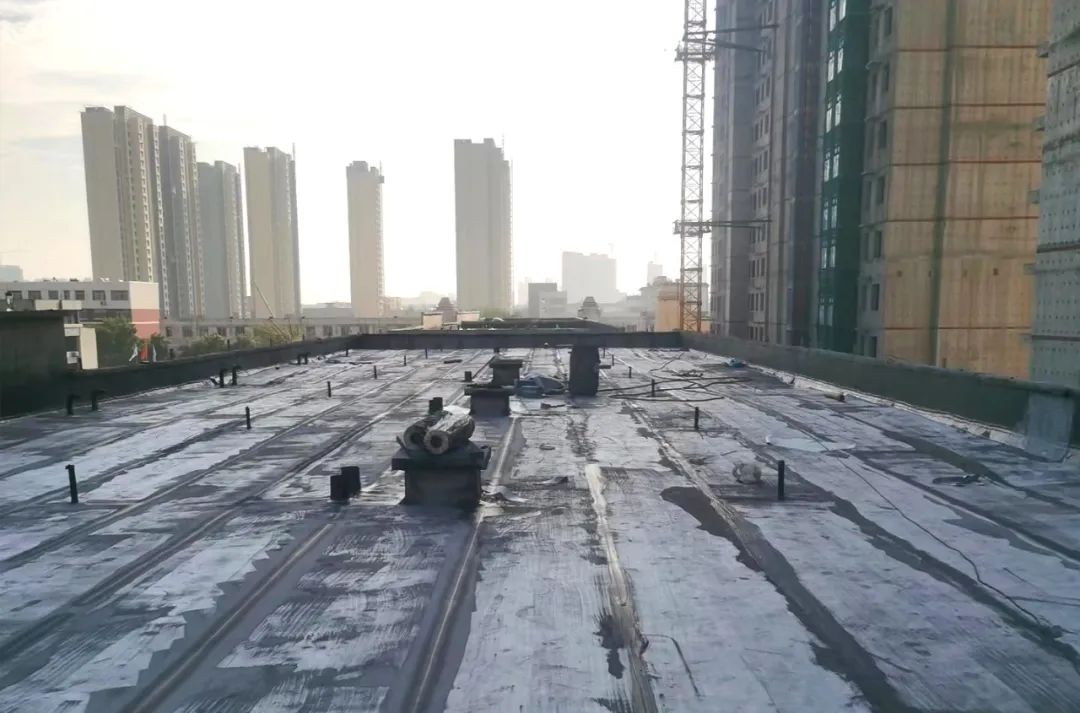 16956969753308881 16956969753308881