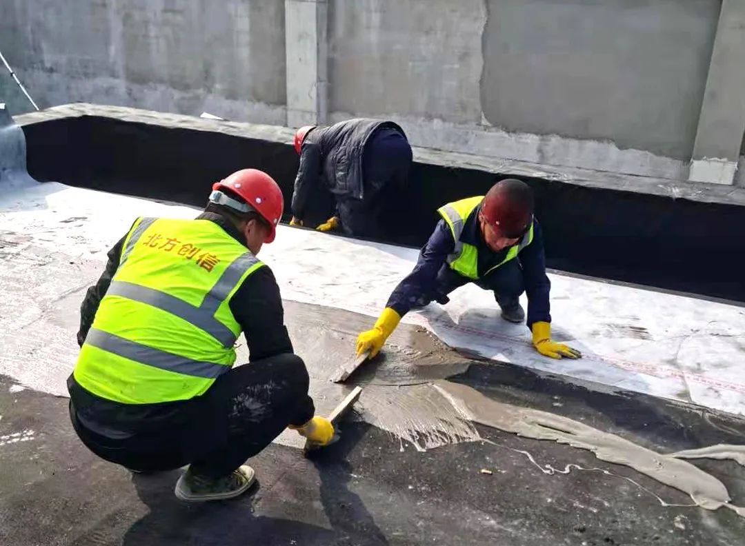 16956971442422147 16956971442422147